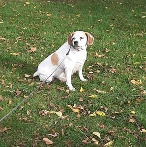 Meet your Posher, Sharon